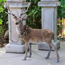 Lade das Bild in den Galerie-Viewer, Bezauberndes, naturalistisches, großes Rentier Weihnachtsdekoration Kunsthandel Rueckeshaeuser