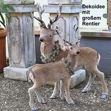 Lade das Bild in den Galerie-Viewer, Bezauberndes, naturalistisches, großes Rentier Weihnachtsdekoration Kunsthandel Rueckeshaeuser