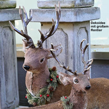 Lade das Bild in den Galerie-Viewer, Bezauberndes, naturalistisches, großes Rentier Weihnachtsdekoration Kunsthandel Rueckeshaeuser
