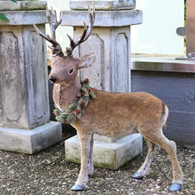Lade das Bild in den Galerie-Viewer, Bezauberndes, naturalistisches, großes Rentier Weihnachtsdekoration Kunsthandel Rueckeshaeuser