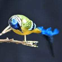 Lade das Bild in den Galerie-Viewer, Blaumeise mundgeblasen aus Glas auf Clip Mundgeblasener Weihnachtsschmuck Kunsthandel Rueckeshaeuser