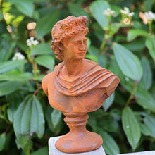 Lade das Bild in den Galerie-Viewer, Klassische Büste des Apollon Gartendekoration Kunsthandel Rueckeshaeuser
