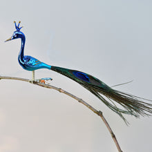 Lade das Bild in den Galerie-Viewer, Kleiner Pfau mit Krone / matt türkis, dunkelblau glänzend Mundgeblasener Weihnachtsschmuck Kunsthandel Rueckeshaeuser