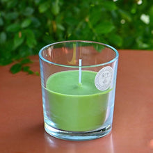 Lade das Bild in den Galerie-Viewer, Outdoor Windlicht, Farbe limette, 13 cm Outdoorkerzen Kunsthandel Rueckeshaeuser