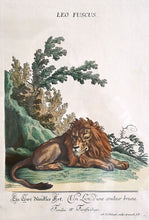 Lade das Bild in den Galerie-Viewer, Paar altkolorierte Kupferstiche von Johann Elias Ridinger 1698 Ulm – 1767 Augsburg Radierung Kunsthandel Rueckeshaeuser