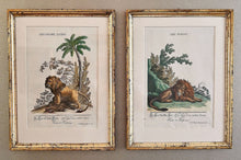 Lade das Bild in den Galerie-Viewer, Paar altkolorierte Kupferstiche von Johann Elias Ridinger 1698 Ulm – 1767 Augsburg Radierung Kunsthandel Rueckeshaeuser