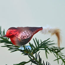 Lade das Bild in den Galerie-Viewer, Rotkehlchen aus Glas, auf Clip Mundgeblasener Weihnachtsschmuck Kunsthandel Rueckeshaeuser