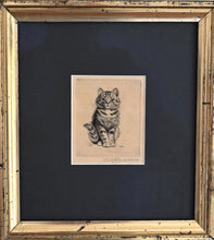 Lade das Bild in den Galerie-Viewer, Signierte Radierung "Kätzchen" von Meta Plückebaum (1876 Dortmund - 1845 Düsseldorf) Radierung Kunsthandel Rueckeshaeuser