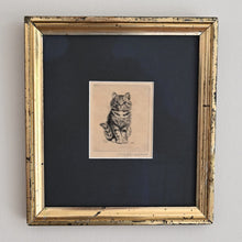 Lade das Bild in den Galerie-Viewer, Signierte Radierung "Kätzchen" von Meta Plückebaum (1876 Dortmund - 1845 Düsseldorf) Radierung Kunsthandel Rueckeshaeuser