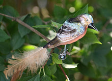 Lade das Bild in den Galerie-Viewer, Traumhafter Buchfink aus mundgeblasenem Glas auf Clip Mundgeblasener Weihnachtsschmuck Kunsthandel Rueckeshaeuser