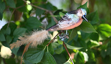 Lade das Bild in den Galerie-Viewer, Traumhafter Buchfink aus mundgeblasenem Glas auf Clip Mundgeblasener Weihnachtsschmuck Kunsthandel Rueckeshaeuser