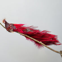 Lade das Bild in den Galerie-Viewer, Zauberhafter roter Pfau auf Clip, XX cm Weihnachtsbaumschmuck Kunsthandel Rueckeshaeuser