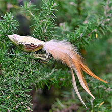 Lade das Bild in den Galerie-Viewer, Glasvogel "Airbrush" mit Hahnenfeder auf Clip Mundgeblasener Weihnachtsschmuck Kunsthandel Rueckeshaeuser