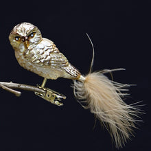 Lade das Bild in den Galerie-Viewer, Käuzchen mit Marabufeder auf Clip / champagner/gold Mundgeblasener Weihnachtsschmuck Kunsthandel Rueckeshaeuser