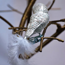 Lade das Bild in den Galerie-Viewer, Käuzchen mit Marabufeder auf Clip / silber Mundgeblasener Weihnachtsschmuck Kunsthandel Rueckeshaeuser