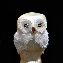 Lade das Bild in den Galerie-Viewer, Kleine Eule aus Glas auf Clip Mundgeblasener Weihnachtsschmuck Kunsthandel Rueckeshaeuser