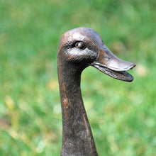 Lade das Bild in den Galerie-Viewer, Laufente aus Bronze Bronzeskulpturen Kunsthandel Rueckeshaeuser