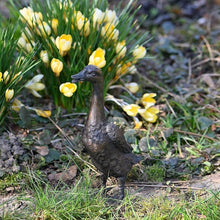 Lade das Bild in den Galerie-Viewer, Laufente aus Bronze / Höhe 18 cm Gartendekoration Kunsthandel Rueckeshaeuser