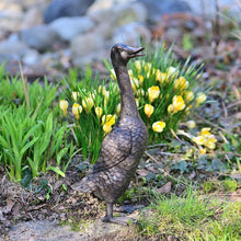 Lade das Bild in den Galerie-Viewer, Laufente aus Bronze / Höhe 30 cm Gartendekoration Kunsthandel Rueckeshaeuser