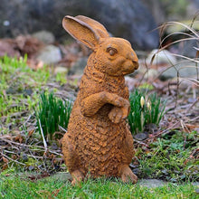 Lade das Bild in den Galerie-Viewer, Sitzender Edelrost Hase Garten Kunsthandel Rueckeshaeuser