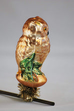 Lade das Bild in den Galerie-Viewer, Waldkauz auf Clip Mundgeblasener Weihnachtsschmuck Kunsthandel Rueckeshaeuser