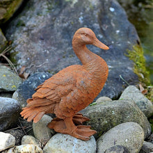 Lade das Bild in den Galerie-Viewer, Wunderschöne Ente aus Gusseisen Gartendekoration Kunsthandel Rueckeshaeuser