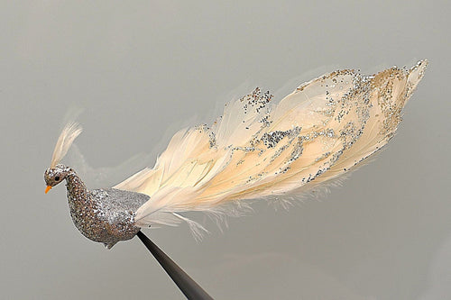 Beeindruckender Pfau auf Clip, 28 cm Weihnachtsbaumschmuck Kunsthandel Rueckeshaeuser