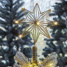 Lade das Bild in den Galerie-Viewer, Beleuchtete Weihnachtsbaumspitze "Goldener Stern" Weihnachtsdekoration Kunsthandel Rueckeshaeuser
