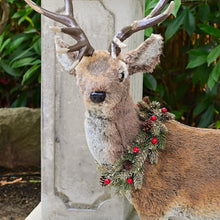 Lade das Bild in den Galerie-Viewer, Bezauberndes, naturalistisches, großes Rentier Weihnachtsdekoration Kunsthandel Rueckeshaeuser
