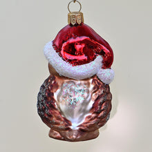 Lade das Bild in den Galerie-Viewer, Eule mit Mütze Mundgeblasener Weihnachtsschmuck Kunsthandel Rueckeshaeuser
