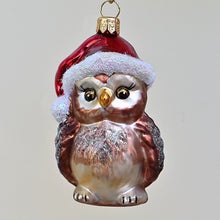 Lade das Bild in den Galerie-Viewer, Eule mit Mütze Mundgeblasener Weihnachtsschmuck Kunsthandel Rueckeshaeuser
