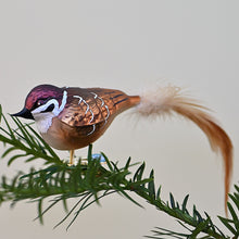 Lade das Bild in den Galerie-Viewer, Feldsperling aus Glas, auf Clip Mundgeblasener Weihnachtsschmuck Kunsthandel Rueckeshaeuser
