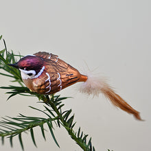 Lade das Bild in den Galerie-Viewer, Feldsperling aus Glas, auf Clip Mundgeblasener Weihnachtsschmuck Kunsthandel Rueckeshaeuser
