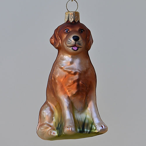 Golden Retriever Mundgeblasener Weihnachtsschmuck Kunsthandel Rueckeshaeuser