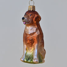 Lade das Bild in den Galerie-Viewer, Golden Retriever Mundgeblasener Weihnachtsschmuck Kunsthandel Rueckeshaeuser
