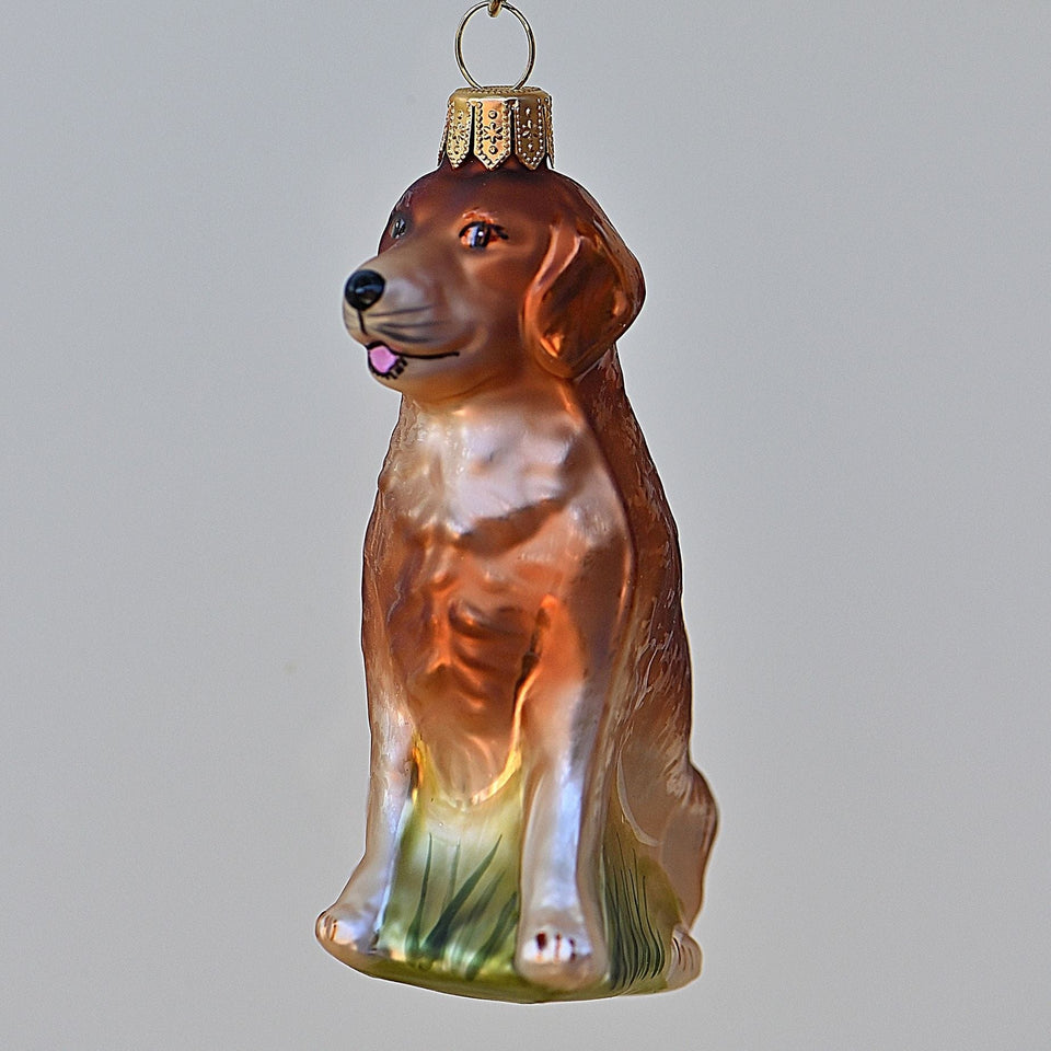 Golden Retriever Mundgeblasener Weihnachtsschmuck Kunsthandel Rueckeshaeuser