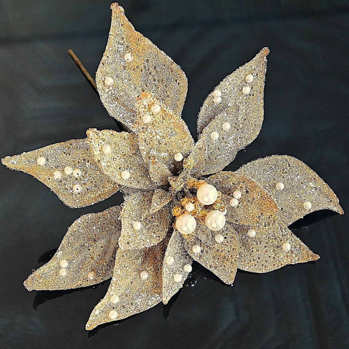 Goldfarbene Weihnachtssternblüte mit weißen Perlen, 22 cm – Ariane  Rueckeshaeuser