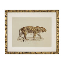 Lade das Bild in den Galerie-Viewer, Hochwertiger Kunstdruck eines Leoparden Kunstdruck Kunsthandel Rueckeshaeuser
