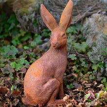 Lade das Bild in den Galerie-Viewer, Hübscher Feldhase aus Gusseisen Gartendekoration Kunsthandel Rueckeshaeuser
