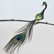 Lade das Bild in den Galerie-Viewer, Pfau / matt grün, dunkelgrün glänzend Mundgeblasener Weihnachtsschmuck Kunsthandel Rueckeshaeuser
