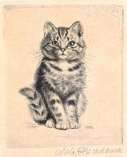 Lade das Bild in den Galerie-Viewer, Signierte Radierung "Kätzchen" von Meta Plückebaum (1876 Dortmund - 1845 Düsseldorf) Radierung Kunsthandel Rueckeshaeuser
