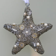 Lade das Bild in den Galerie-Viewer, Silberner Juwelenglitzerstern, 10 cm Weihnachtsbaumschmuck Kunsthandel Rueckeshaeuser
