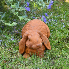 Lade das Bild in den Galerie-Viewer, Süßes Widderkaninchen Gartendekoration Kunsthandel Rueckeshaeuser
