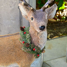 Lade das Bild in den Galerie-Viewer, Wunderschönes, naturalistisches Rentier Weihnachtsdekoration Kunsthandel Rueckeshaeuser
