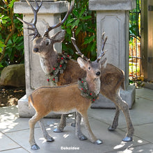 Lade das Bild in den Galerie-Viewer, Wunderschönes, naturalistisches Rentier Weihnachtsdekoration Kunsthandel Rueckeshaeuser
