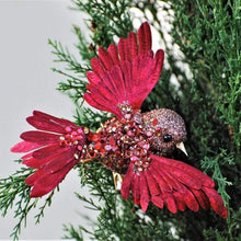 Lade das Bild in den Galerie-Viewer, Exotisches rotes Vögelchen auf Clip Weihnachtsbaumschmuck Kunsthandel Rueckeshaeuser
