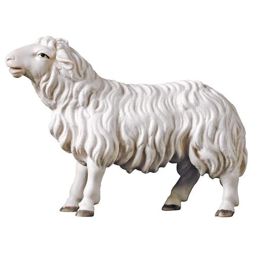 Schaf geradeaus schauend Krippenfiguren Kunsthandel Rueckeshaeuser