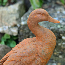 Lade das Bild in den Galerie-Viewer, Wunderschöne Ente aus Gusseisen Gartendekoration Kunsthandel Rueckeshaeuser
